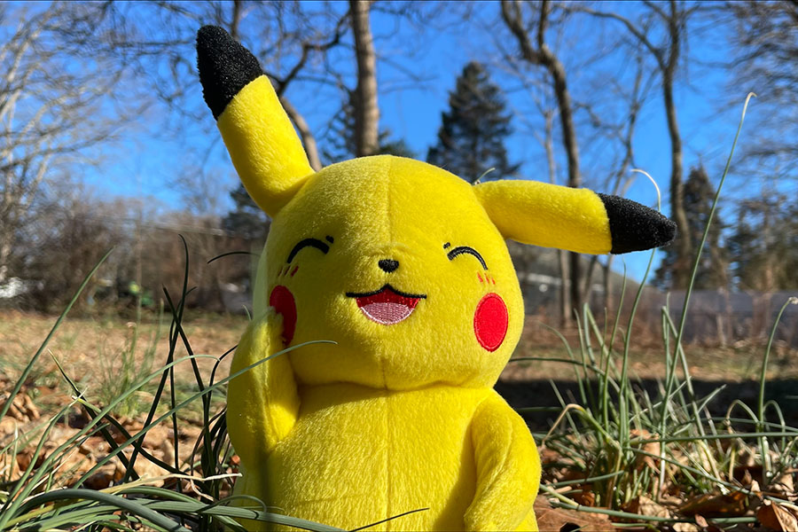 Pikachu spotted sunbathing in the backyard of a Ronkonkoma home on Feb. 11. 