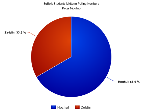 On Oct. 12, 2022, 50 students on the Ammerman campus were asked their views on New York State’s midterm election nominees Kathy Hochul and Lee Zeldin.
