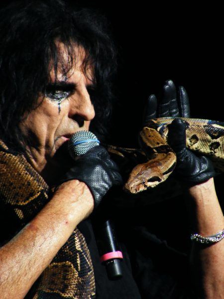 The Pioneers of Horror Rock