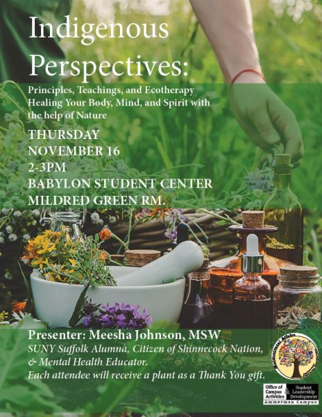 Native American Heritage Month Guest Speaker Meesha Johnson on 11/16