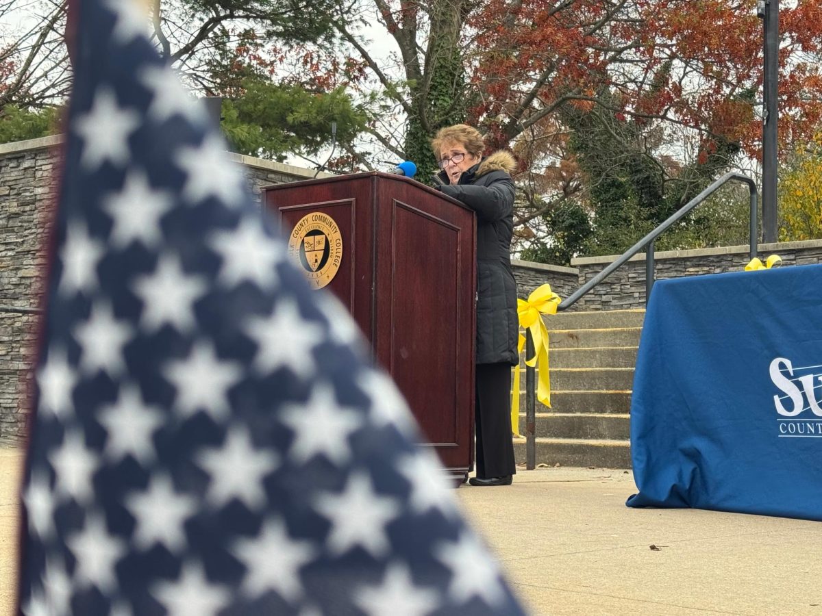 Joan A. Furey, the keynote speaker of a Nov. 12 Veterans Day ceremony, shares her experiences as a U.S. Army nurse in Vietnam.