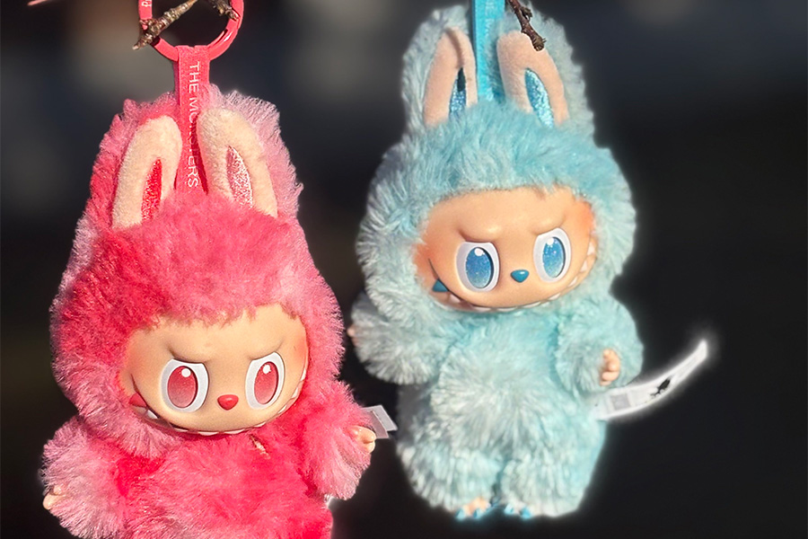 Madison Frechen bought two Labubus, hoping to get the one she wanted from the blind-box phenomena, but stopped when her favorite didn’t come through.